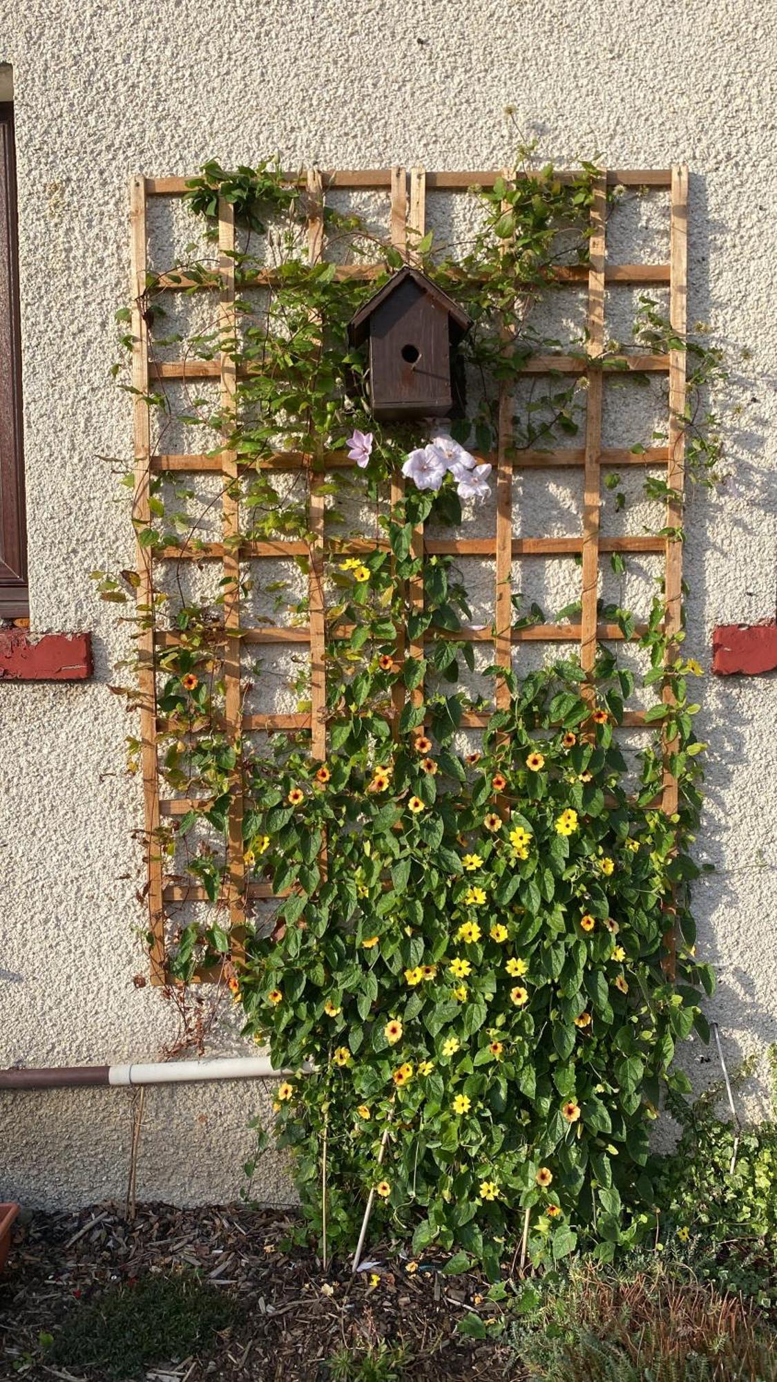 Frans Place Edynburg Zewnętrze zdjęcie